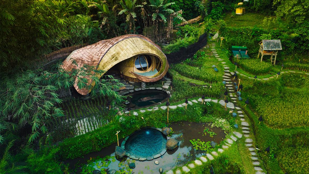 Curved bamboo nest-like house set on a terraced rice field beside a small pool outside Ubud, Bali