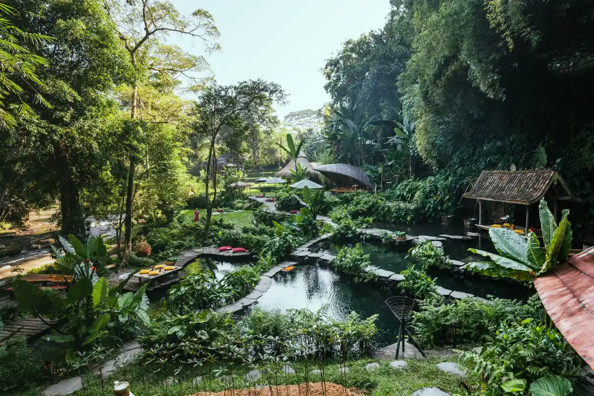 Bambu Indah's spring-fed pools surrounded by jungle, seen from above